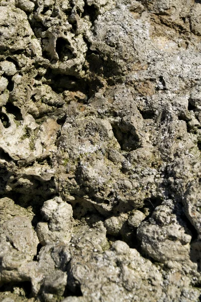 Fondo de piedra clara — Foto de Stock