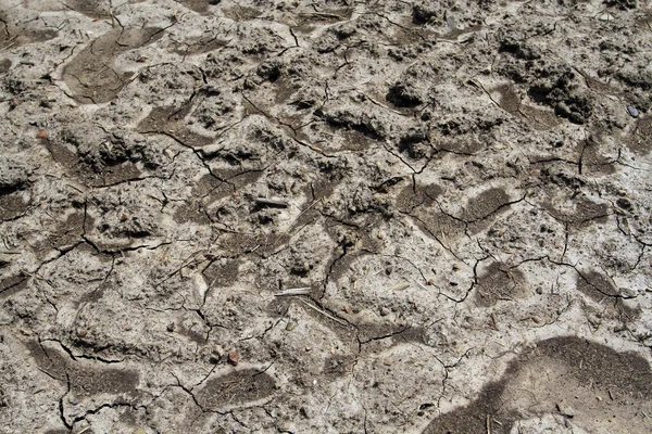 Ver terra seca rachada — Fotografia de Stock