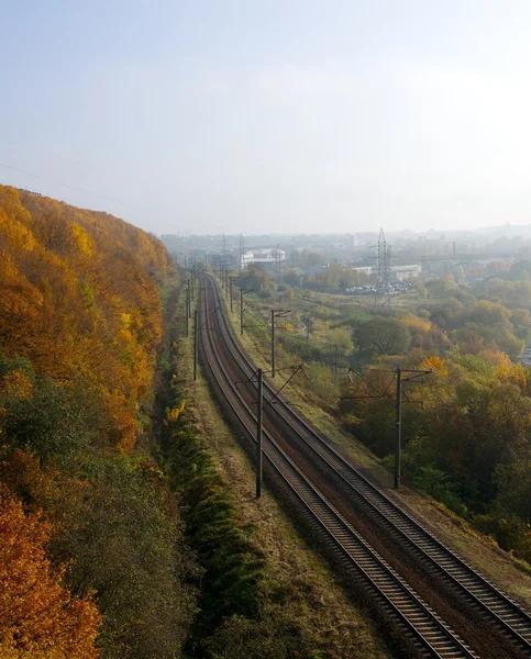 Panorama der herbstlichen Natur und Eisenbahn in der Mitte, Eisenbahn nach Kaunas, Litauen, im Herbst mit hellem Himmelshintergrund, selektiver Fokus, Eisenbahn zwischen bunten Herbstwäldern — Stockfoto