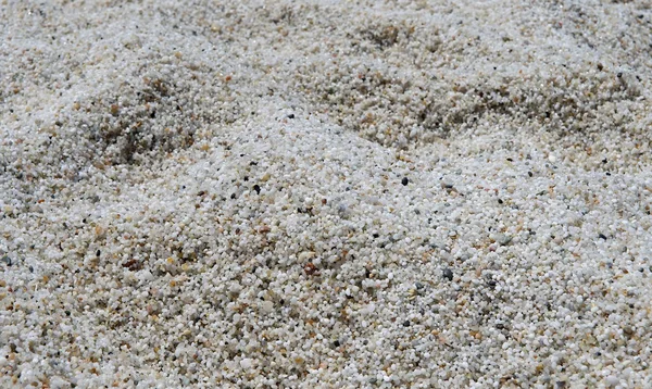 doğal beyaz mermer taş dokulu middle.quartz pebble Beach seçici odak ve. seçici odak ile küçük taşlar doku kuvars çakıl. beyaz çakıl. küçük taşlarla arka plan.