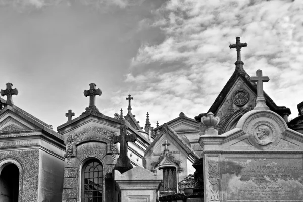 흑인과 백인 추상 사진에 오래 된 묘지입니다. 오래 된 묘지에서 많은 십자가. 유럽입니다. 삶과 죽음입니다. 묘지입니다. 십자가입니다. 흑백 사진입니다. 기호 — 스톡 사진
