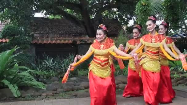 Videodocumentatie Wazige Clip Javaanse Traditionele Danser Batikdans Dansen Pekalongan Indonesië — Stockvideo