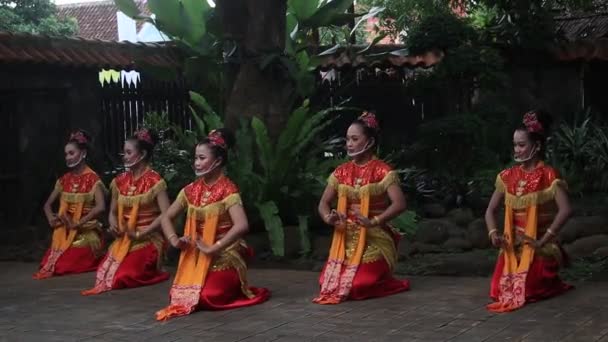 Video Documentation Blurry Clip Javanese Traditional Dancer Dancing Batik Dance — стоковое видео