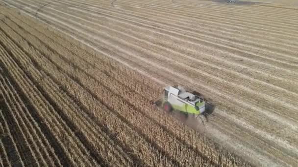 晴天在田里干活的玉米收割机 从空气中发出的枪声 — 图库视频影像
