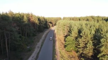 Ormanlık alanda boş bir yolda giden araba, yukarıdan aşağıya bakan hava manzaralı.