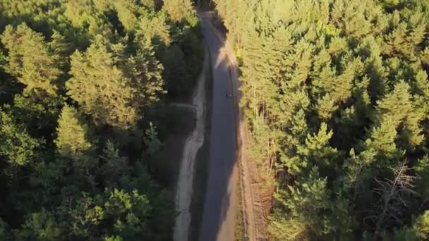 Cyclistes Roulent Long Une Route Vide Dans Une Zone Boisée — Video