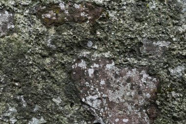 Taş duvar arkaplan dokusu gri gün boyu. Yüksek kalite fotoğraf