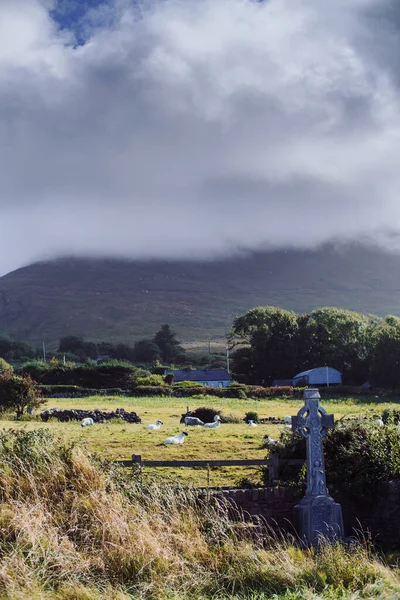 曇りの日に海に対する草原 Coケリーアイルランド 高品質の写真 — ストック写真