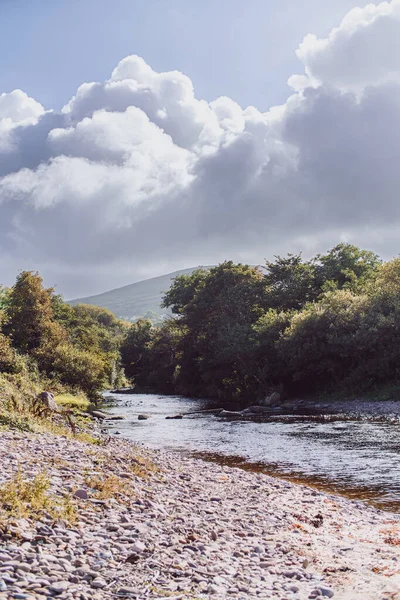 山の川の山や森の海に流れるのを背景に Coケリーアイルランド 高品質の写真 — ストック写真