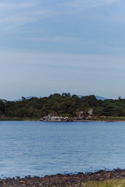 Muckross Gölü kıyısı, Killarney Ulusal Parkı, Kerry ilçesi, İrlanda. Yüksek kalite fotoğraf