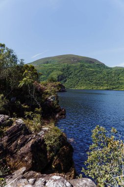 Muckross Gölü kıyısı, Killarney Ulusal Parkı, Kerry ilçesi, İrlanda. Yüksek kalite fotoğraf