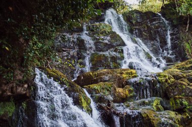 Torc Waterfall - Killarney Ulusal Parkı, co Kerry, Irelannd. Yüksek kalite fotoğraf