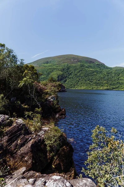 Rive Lac Muckross Parc National Killarney Comté Kerry Irlande Photo — Photo