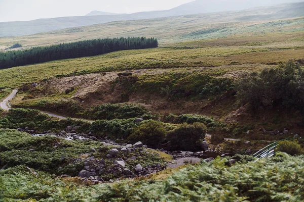 Fotos Carrauntoohil Killarney Kerry Ireland Día Soleado Agosto 2022 Foto — Foto de Stock