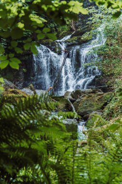 Torc Waterfall - Killarney Ulusal Parkı, co Kerry, Irelannd. Yüksek kalite fotoğraf
