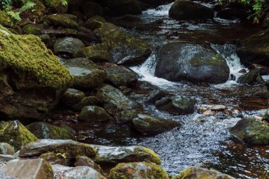Torc Waterfall - Killarney Ulusal Parkı, co Kerry, Irelannd. Yüksek kalite fotoğraf