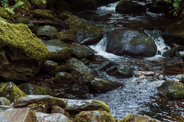 Torc Waterfall - Killarney Ulusal Parkı, co Kerry, Irelannd. Yüksek kalite fotoğraf