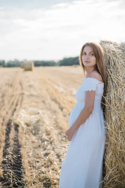 Beautiful Pregnant Brunette White Dress Haystacks Field Sunset High Quality — Stock Photo, Image