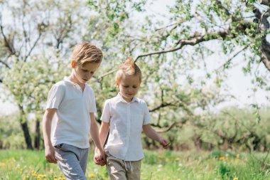 Güneşli bir bahar gününde elma bahçesinde neşeli bir yürüyüş yapan iki küçük kardeş. Yüksek kalite fotoğraf