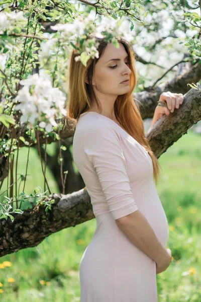 Une Belle Fille Enceinte Robe Blanche Promène Dans Verger Pommiers — Photo