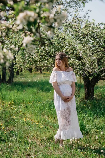 Beyaz elbiseli güzel hamile bir kız güneşli bir bahar gününde elma bahçesinde yürür. Yüksek kalite fotoğraf