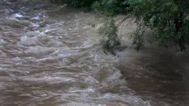 nehir kıyısında bazı dalları ile dalgalı su yüzeyinin Manzaralı
