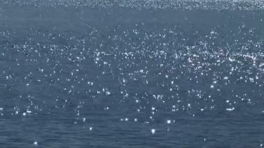 Shinning deniz.
