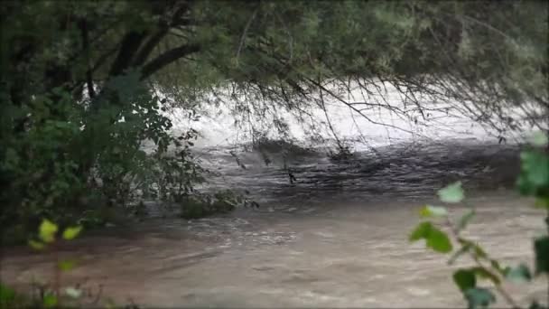 Blick auf den Flussarm — Stockvideo