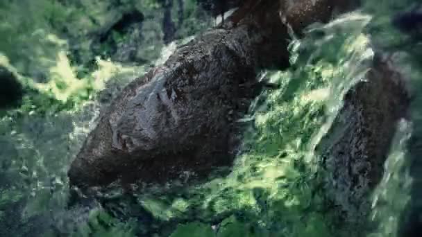 Κοντινό πλάνο του νερού που τρέχει πάνω από πέτρες — 图库视频影像