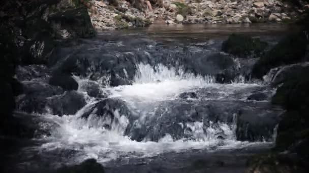 Stále shot divoká řeka peřejí s okolím — Stock video