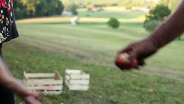 Gros plan d'un vieil homme donnant une pomme à une jeune femme — Video