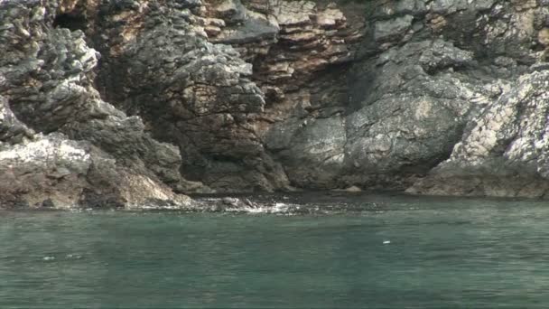 Waves evenly lapp against the rocky coastline. — Stock Video