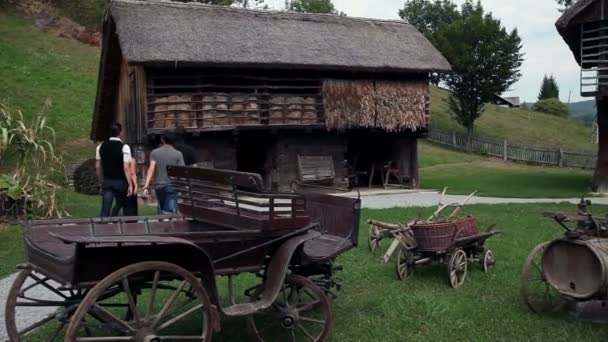 Fotografía de un grupo de jóvenes que visitan una granja antigua pero muy conservada — Vídeo de stock
