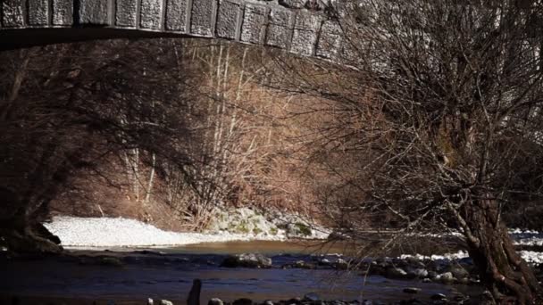 Todavía tiro de río en temporada de invierno — Vídeo de stock