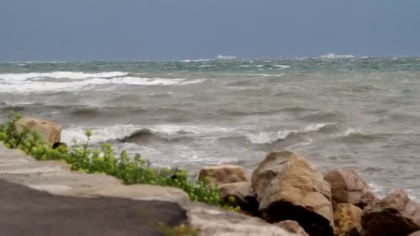 Брутальне море — стокове відео