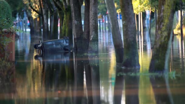 Vista do beco inundado e recipiente no meio do beco — Vídeo de Stock