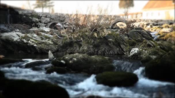 Evlerin arka planda Nehri'nin yakın çekim — Stok video