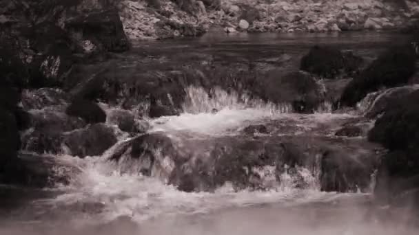 周囲の環境と野生の川の急流の静止ショット — ストック動画
