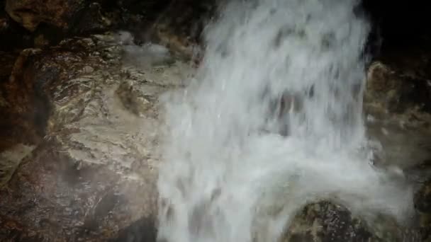 Correntes de fluxo correndo para fora de rocsk na floresta — Vídeo de Stock