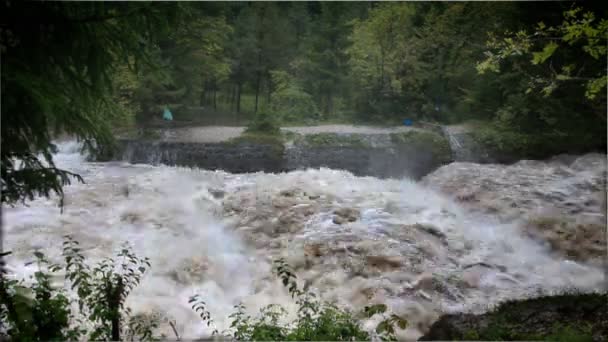 Inondation rivière — Video