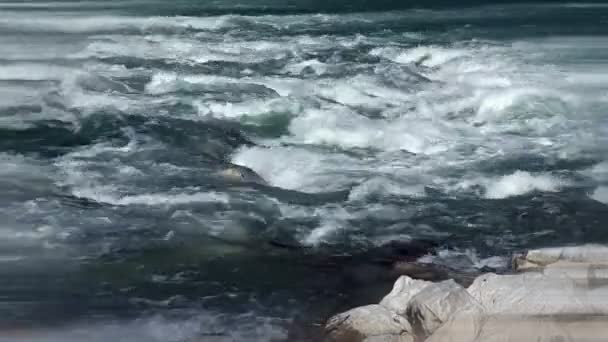 River rapids yakın çekim — Stok video