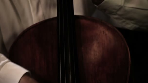 Jugador de violonchelo — Vídeo de stock