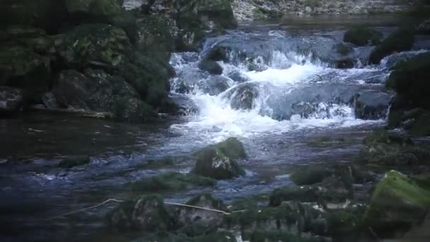 Plan des rapides fluviaux sauvages avec leurs environs 