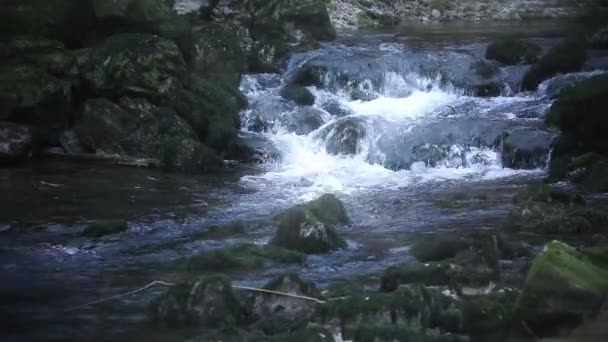 Ancora colpo di rapide del fiume selvaggio con dintorni — Video Stock