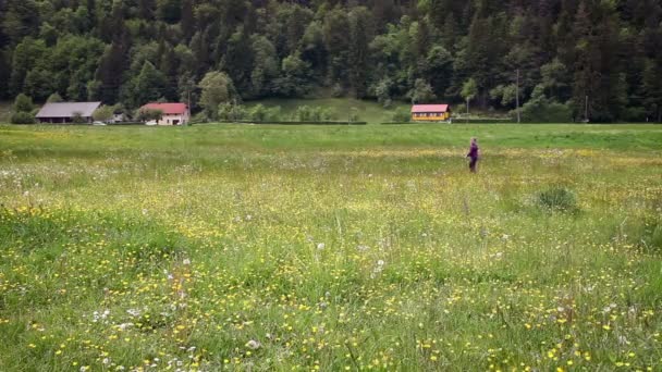 Skott av liten flicka kör cheerfull över gräset — Stockvideo