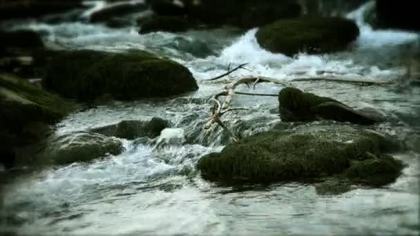 Zblízka tekoucí vody — Stock video