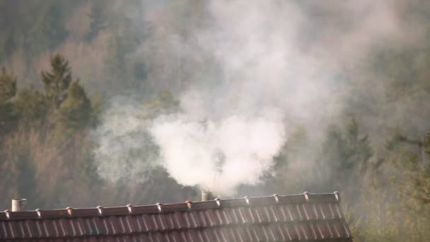 Still shot of smoke coming from chimney — Stock Video