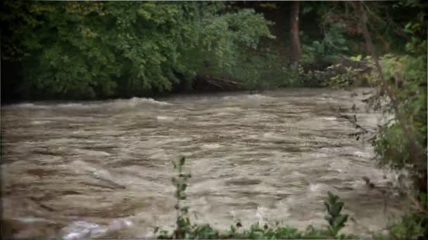 Râul Inundații — Videoclip de stoc