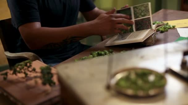 Homem lendo um livro em um museu onde as ervas estão secando — Vídeo de Stock