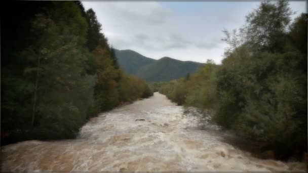 Überfluteter Fluss — Stockvideo